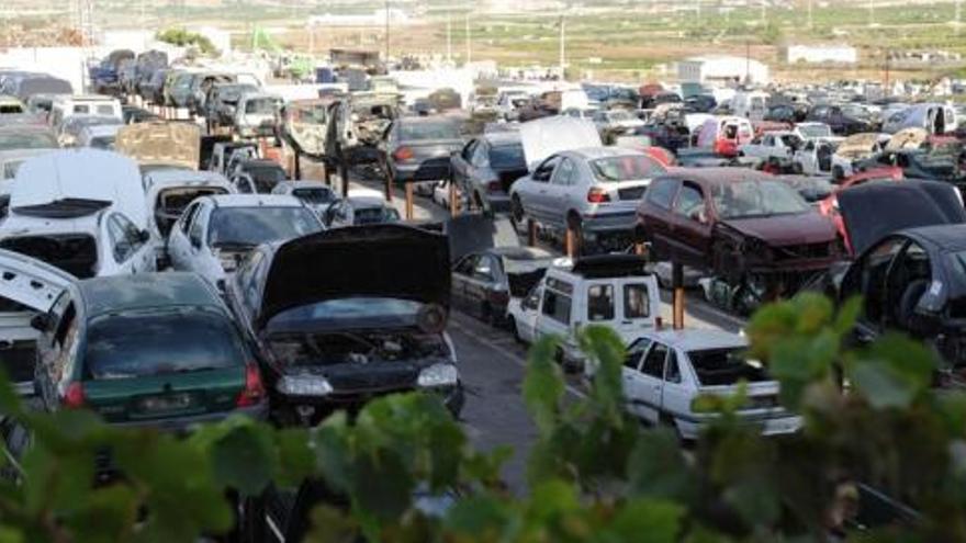 Vehículos que Desguace París acumula en sus instalaciones de Lorquí.