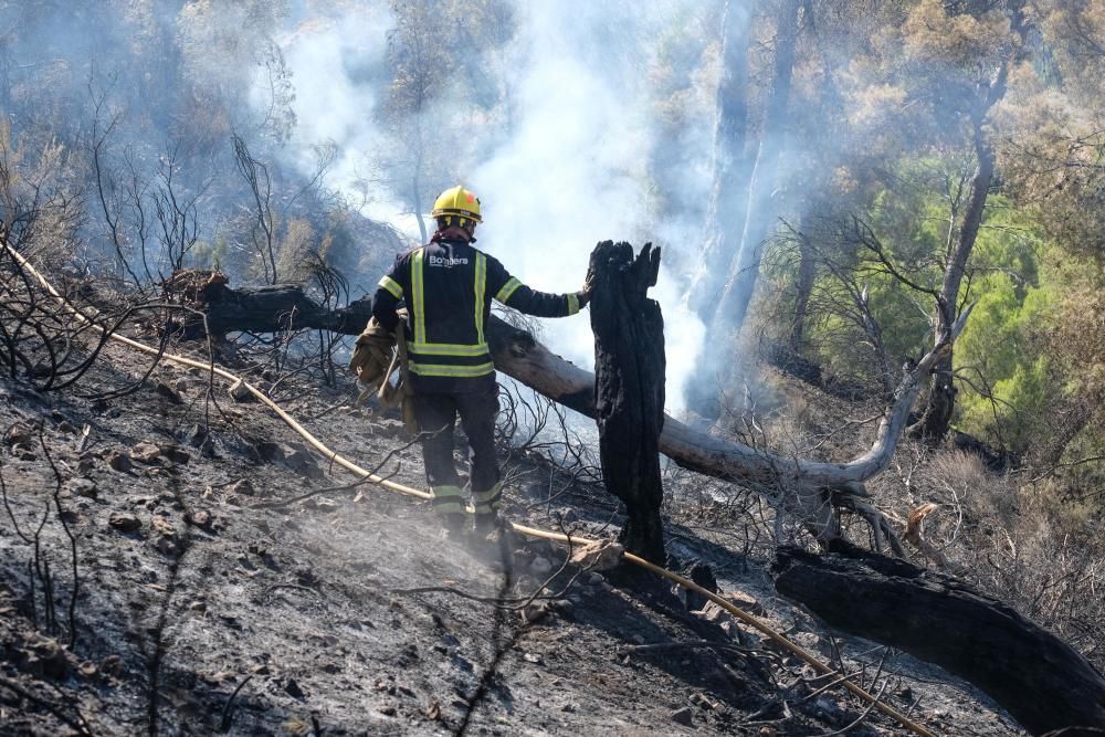 El fuego se inició a última hora de ayer miércoles y ha estado activo toda la noche.