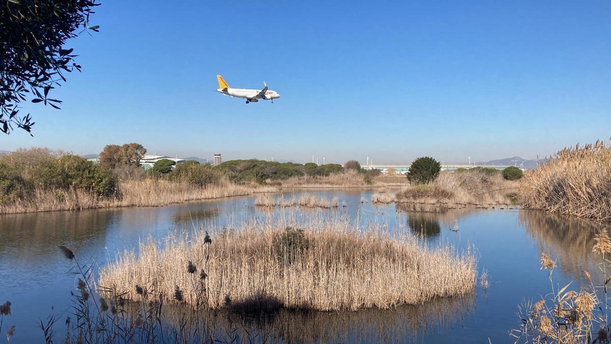 Laguna de La Roberta, con la Terminal T1 al fondo