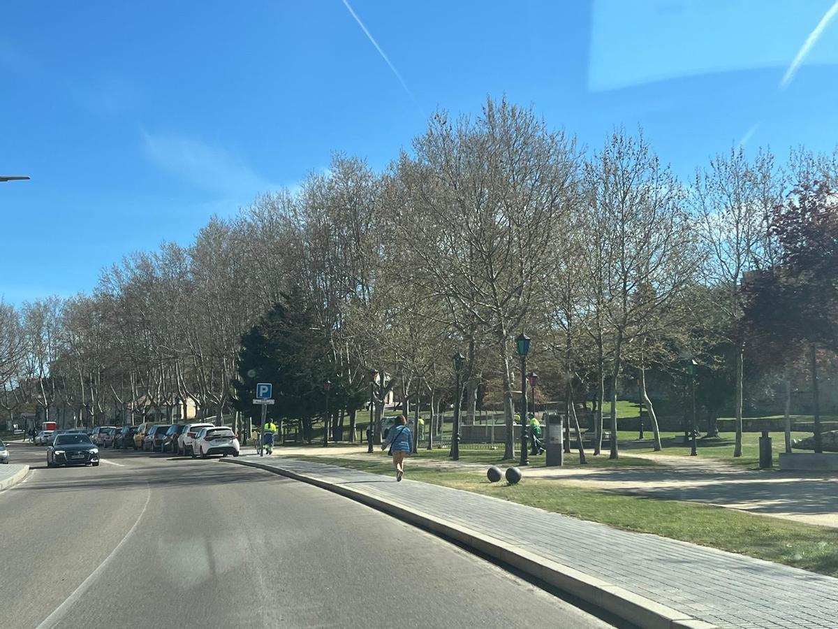 Los servicios de limpieza, en el parque de San Martín tras el botellón