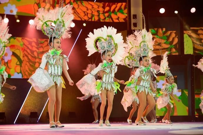 Concurso de Comparsas Infantiles del Carnaval  2019  | 17/02/2019 | Fotógrafo: Tony Hernández