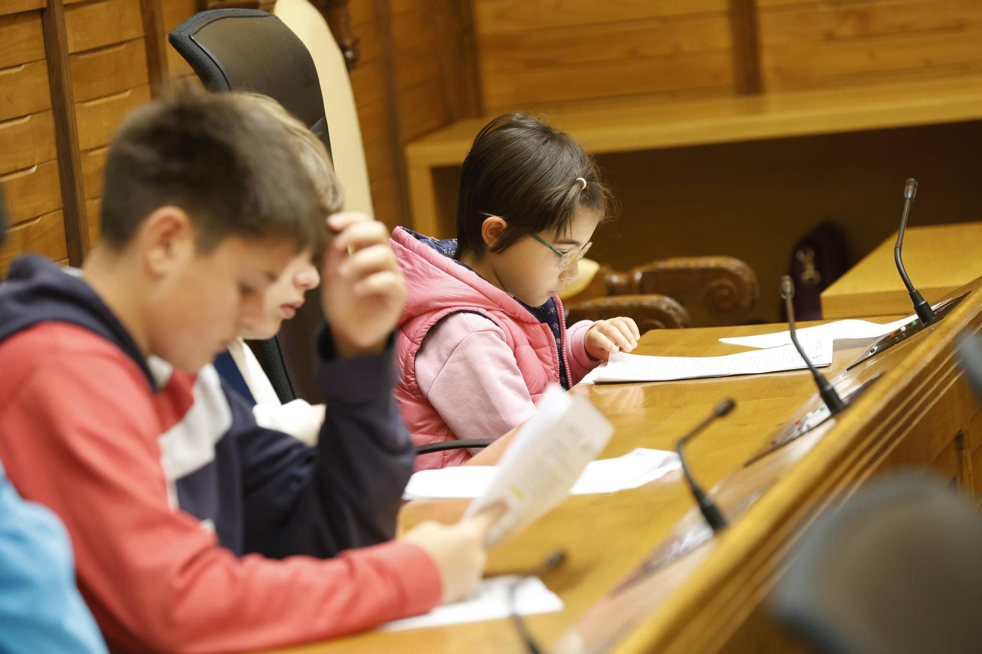 El Pleno del Consejo Municipal de Infancia y Adolescencia de Gijón, en imágenes