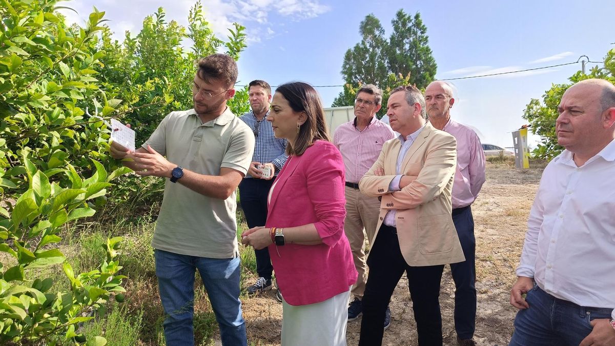 La consejera Rubira visita a uno de los campos de limón que participan en el proyecto.