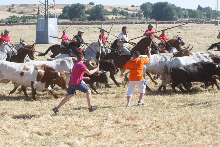 Fiestas en Zamora: Segudos espantes de Fuentesaúco