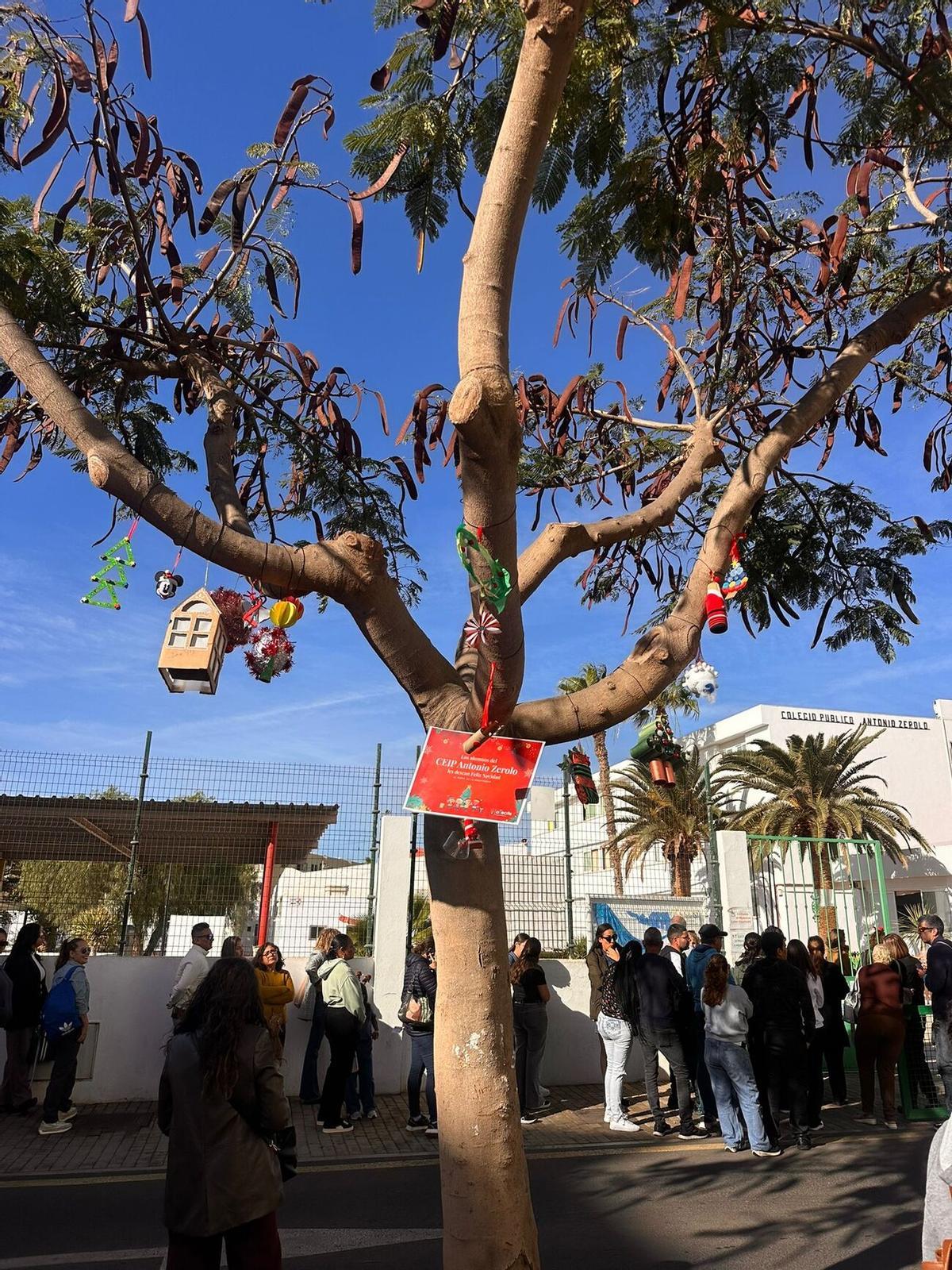 Escolares de Arrecife decoran los árboles de sus barrios Escolares de Arrecife decoran los árboles de sus barrios
