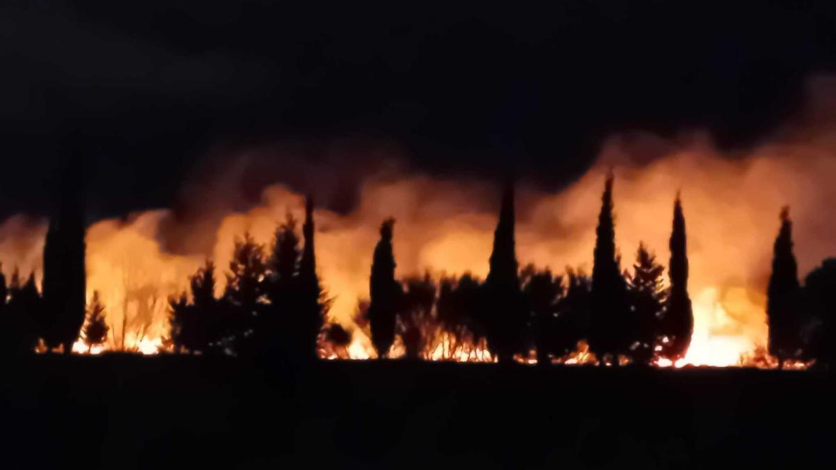 Crema una zona boscosa a tocar de les vies del TAV a Vilafant