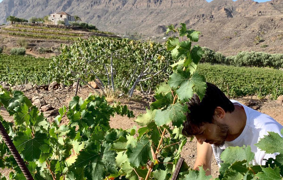 Silva, en las viñas de su bodega.