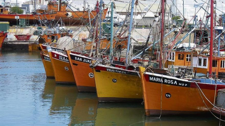 Pesqueros amarrados en el puerto de Mar de Plata, al nort del país. // FdV