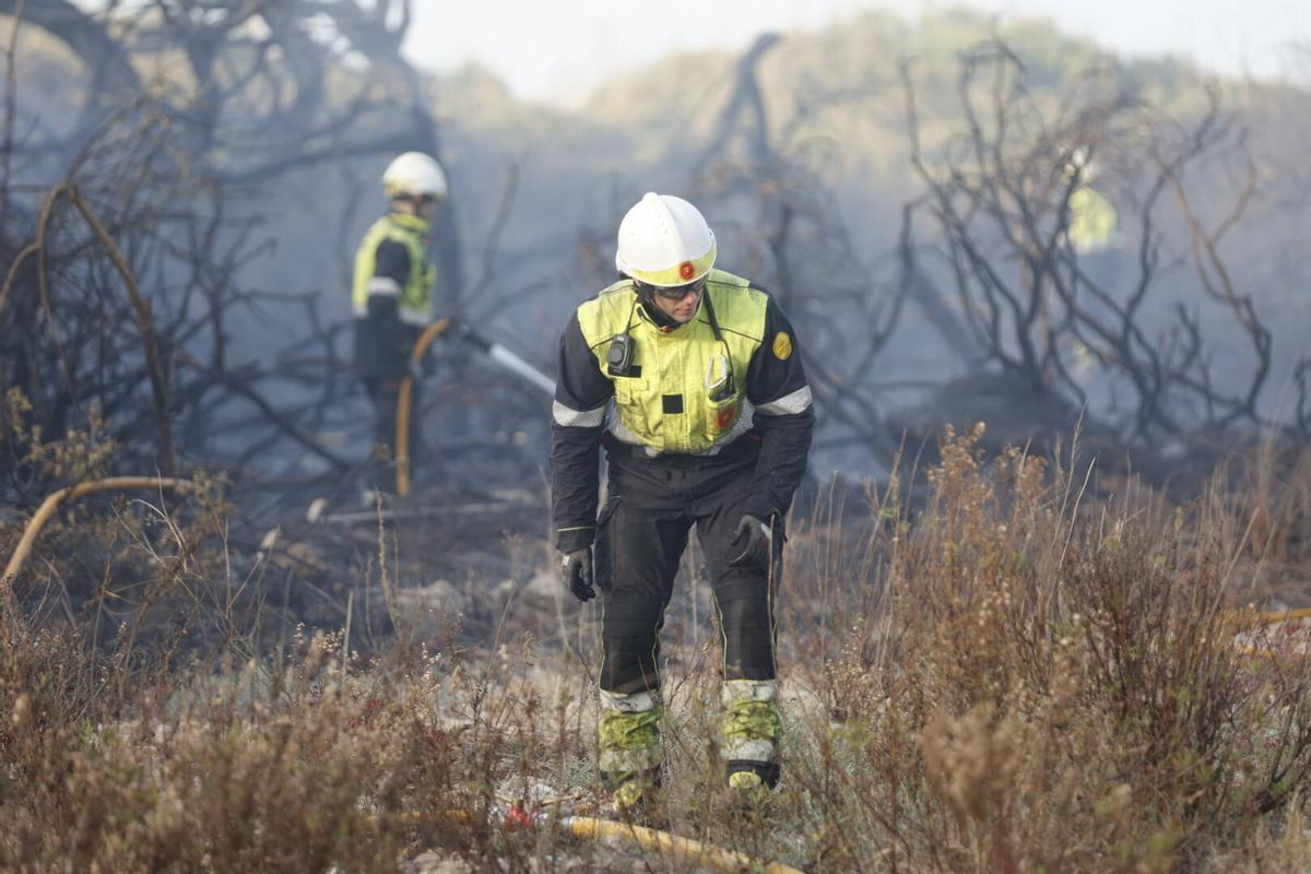 Incendio declarado recientemente en El Saler.