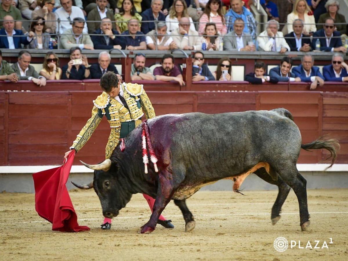 Trade de Toros