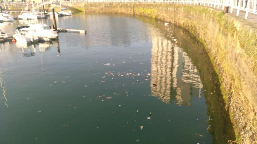 Basura en el Puerto Deportivo hoy.