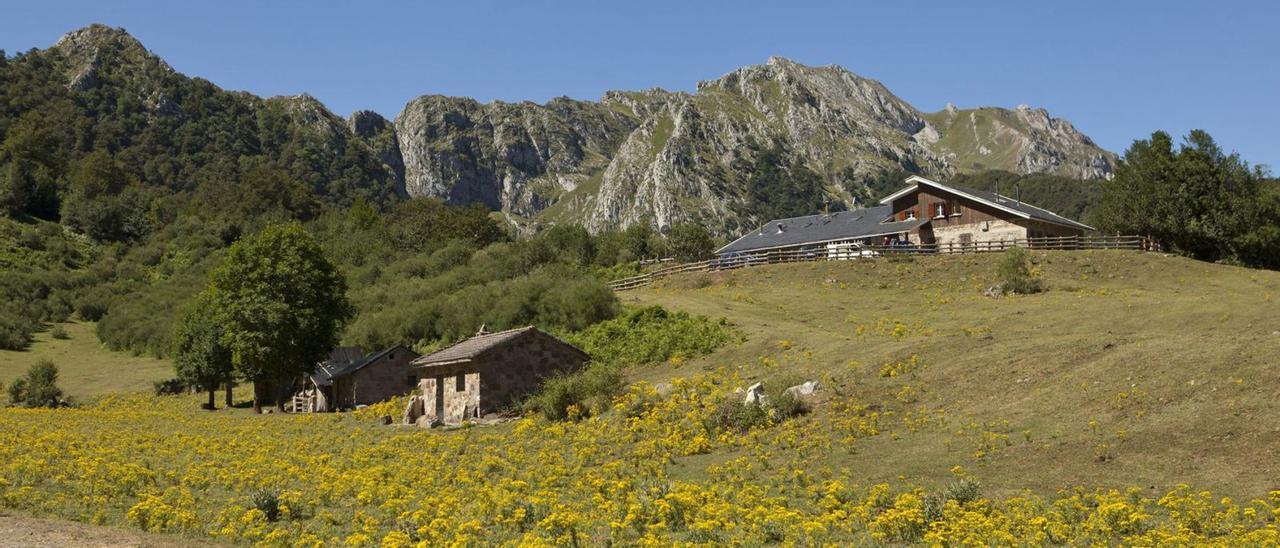 Las instalaciones del refugio de montaña de Brañagallones, al fondo. | Fernando Rodríguez