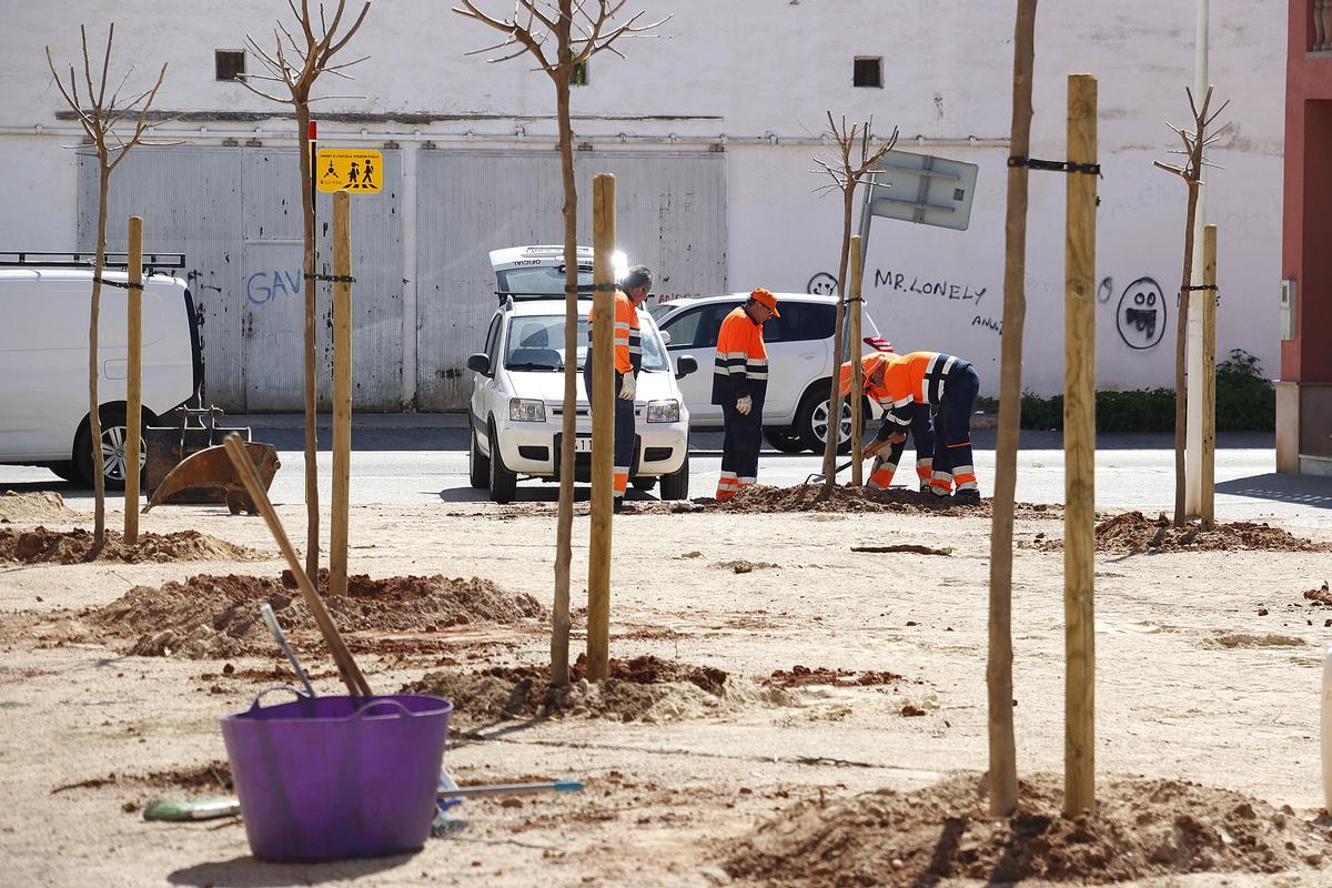 Brigada plantando árboles en Puçol.