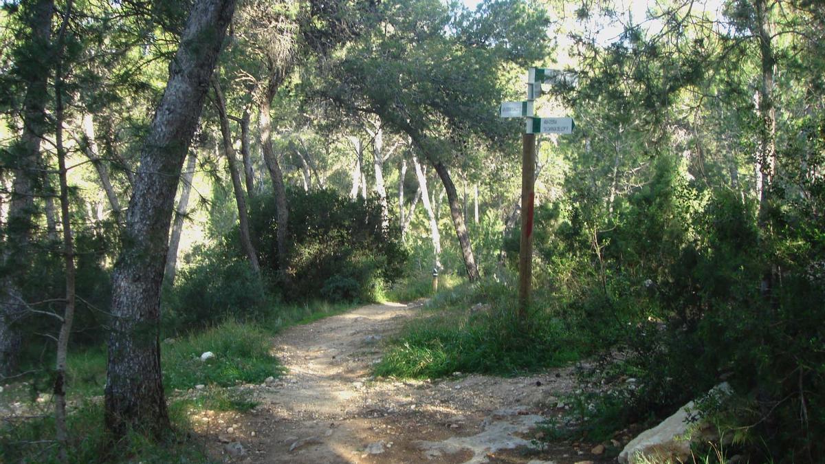 El monte del Vedat de Torrent.