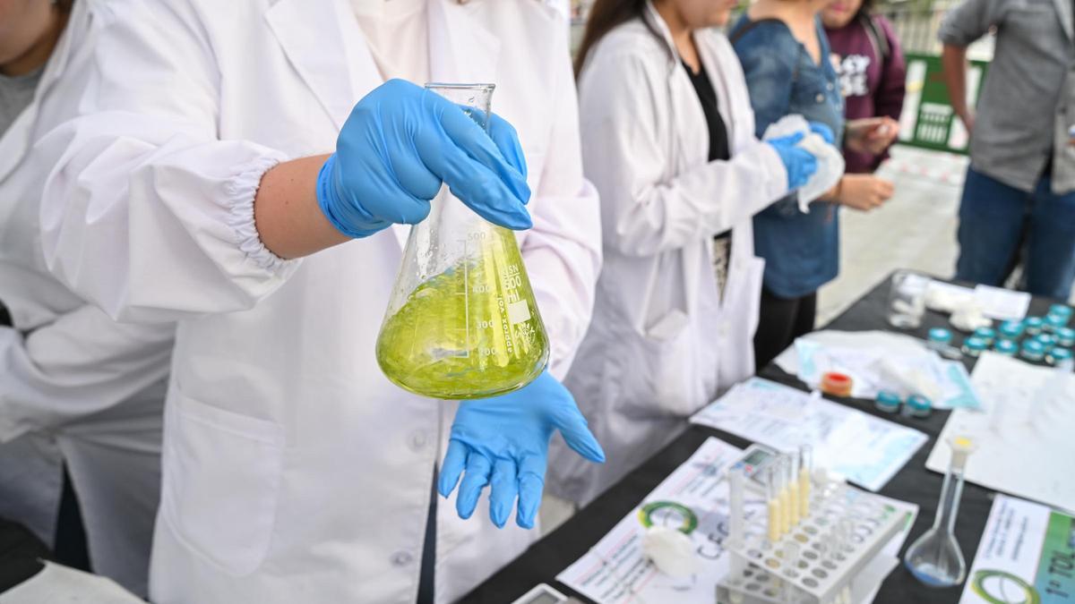 Elche celebra la II Feria Municipal de Formación Profesional en el Centro de Congresos