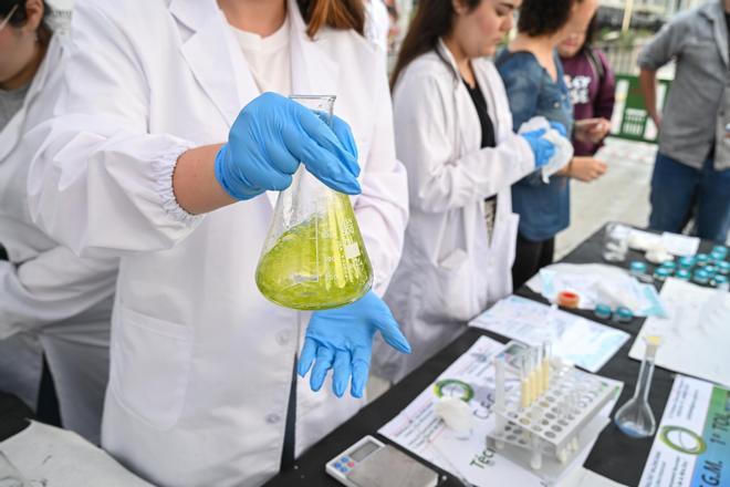 Elche celebra la II Feria Municipal de Formación Profesional en el Centro de Congresos