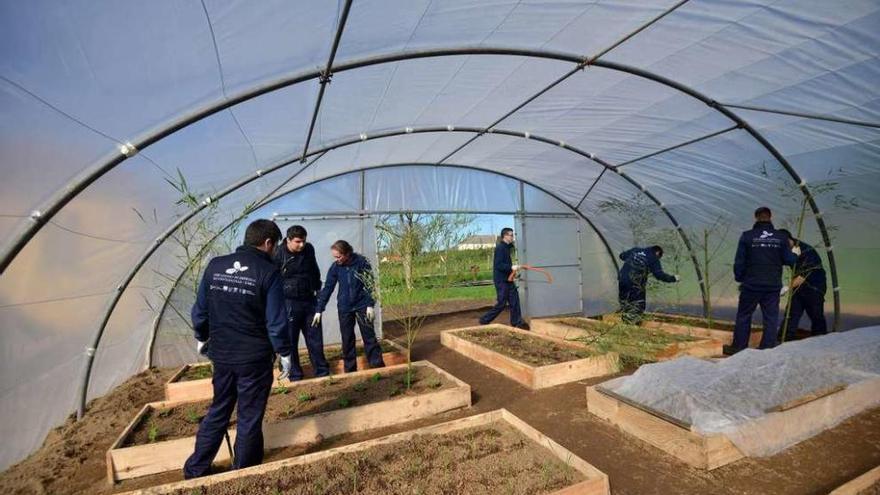 Los alumnos en el huerto ecológico en Santa Xusta. // Gustavo Santos