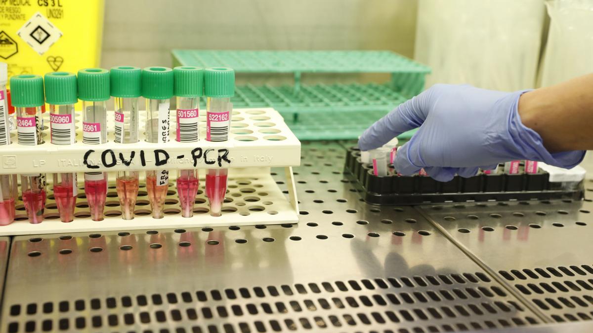 Pruebas PCR en Avilés