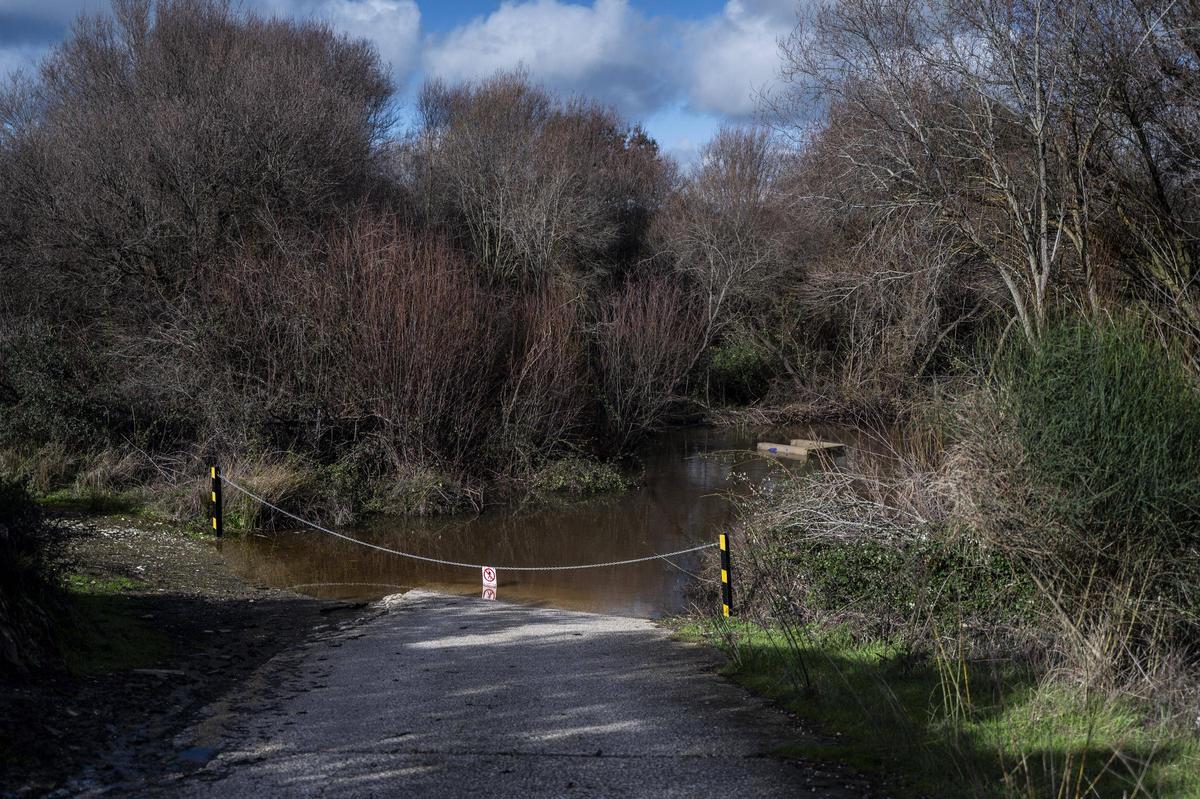 El Guadiloba asoma fuera de su pantano de Cáceres