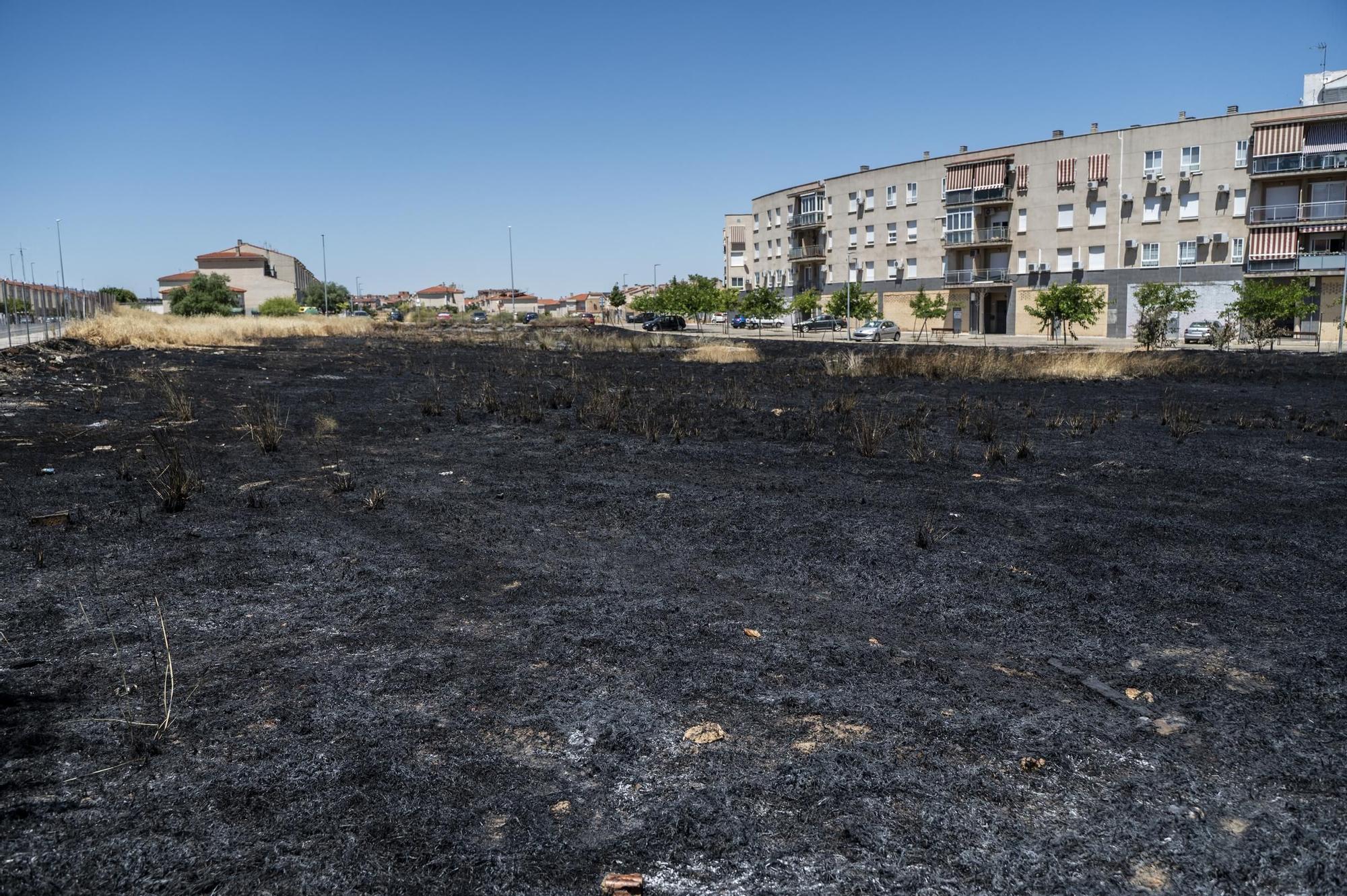 Fotogalería | Alarma en Cáceres El Viejo por un incendio en una parcela sin desbrozar