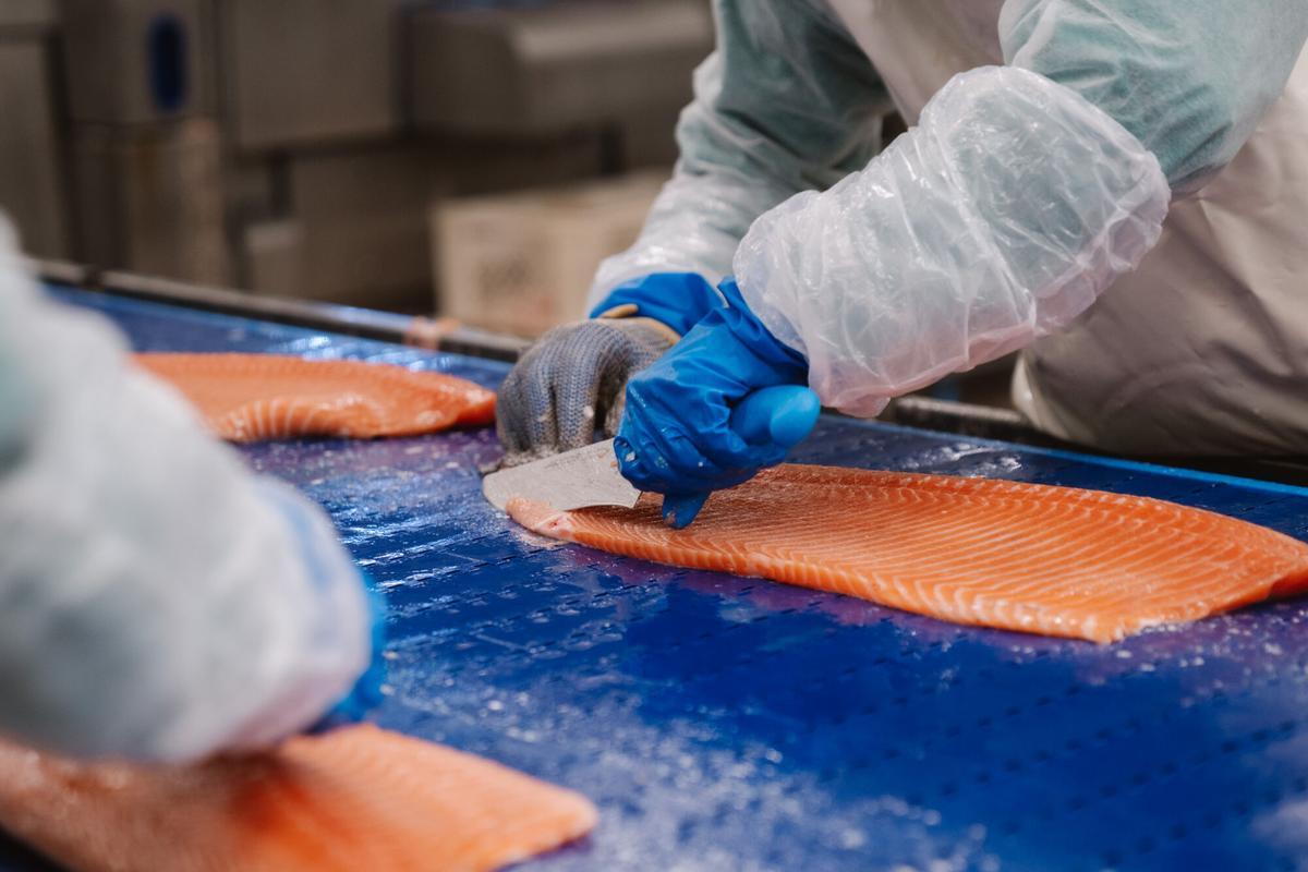 Selección y corte del salmón en Ahumados Domínguez, una de las fases clave para garantizar la calidad del producto final.