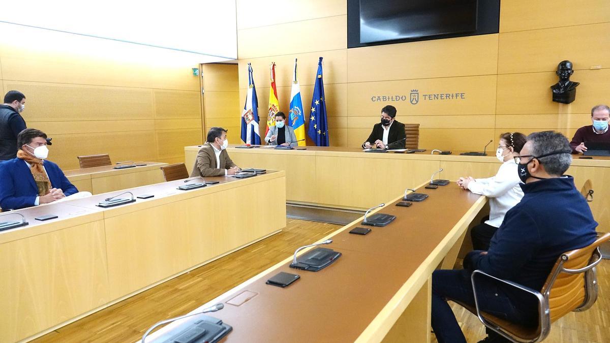 Un momento de la reunión mantenida entre el Cabildo de Tenerife y el Ayuntamiento de Santa Cruz.