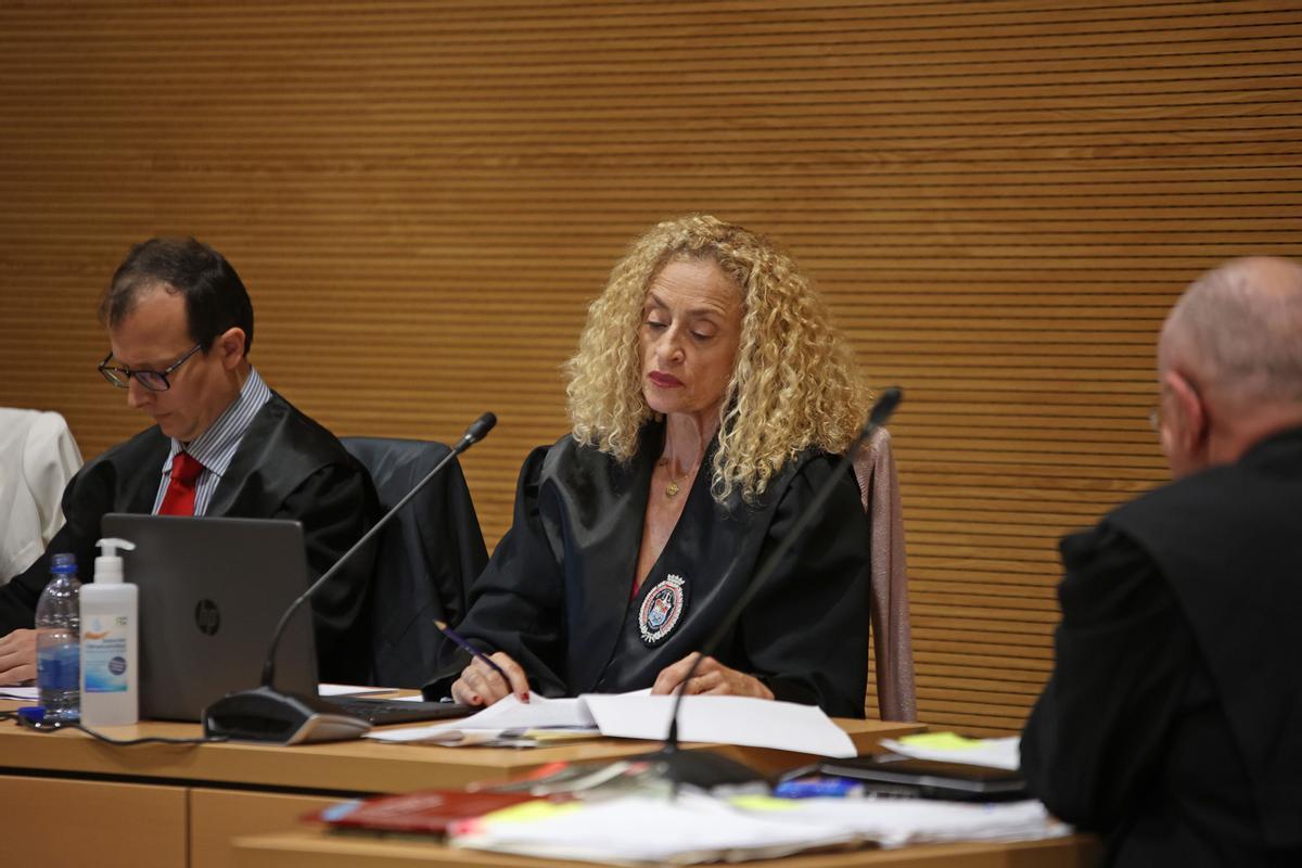 La abogada de la acusación popular, Pino de la Nuez, en el juicio por el caso Romina