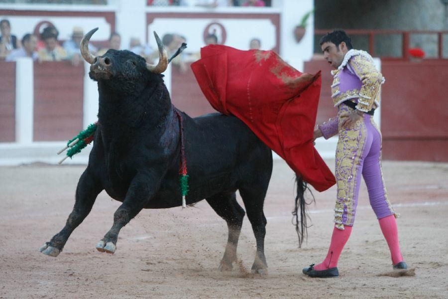 Toros en Zamora