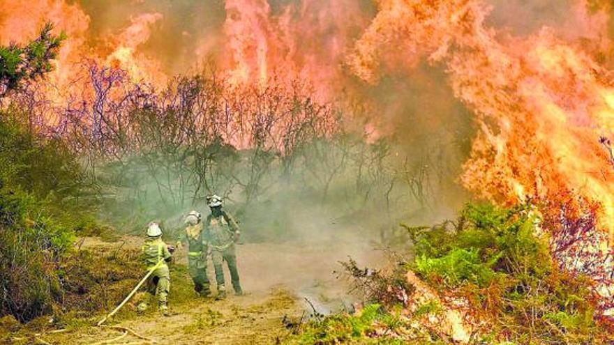 Tres bomberos luchan contra las llamas
en A Canicouva, en Ponte Caldelas. |  // RAFA VÁZQUEZ