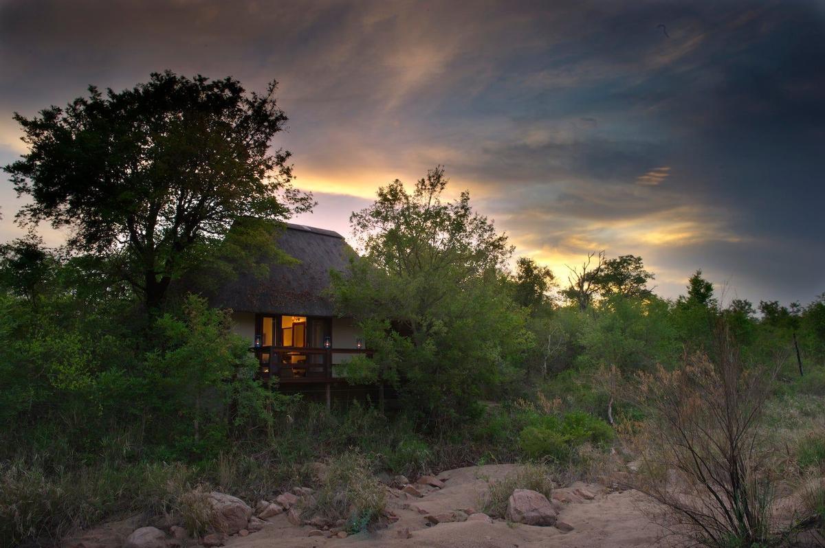Sabi Sabi, África