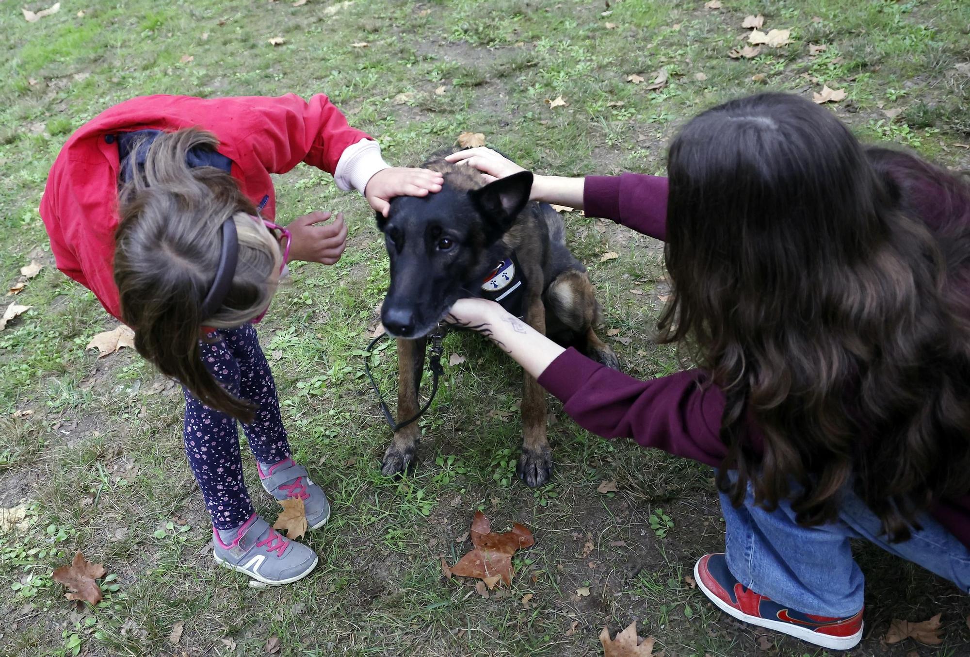 Exhibición de la Policía Nacional en el auditorio de Castrelos en Vigo