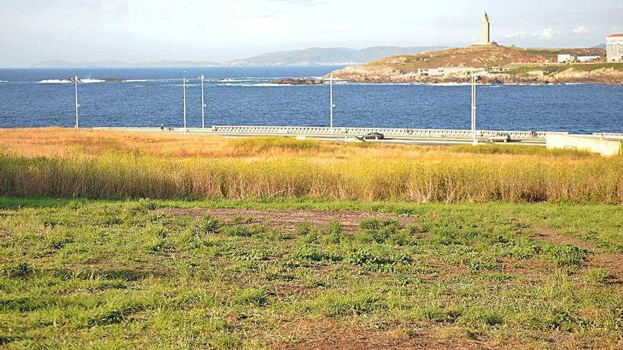 Terrenos de As Percebeiras, con la Torre de Hércules al fondo.