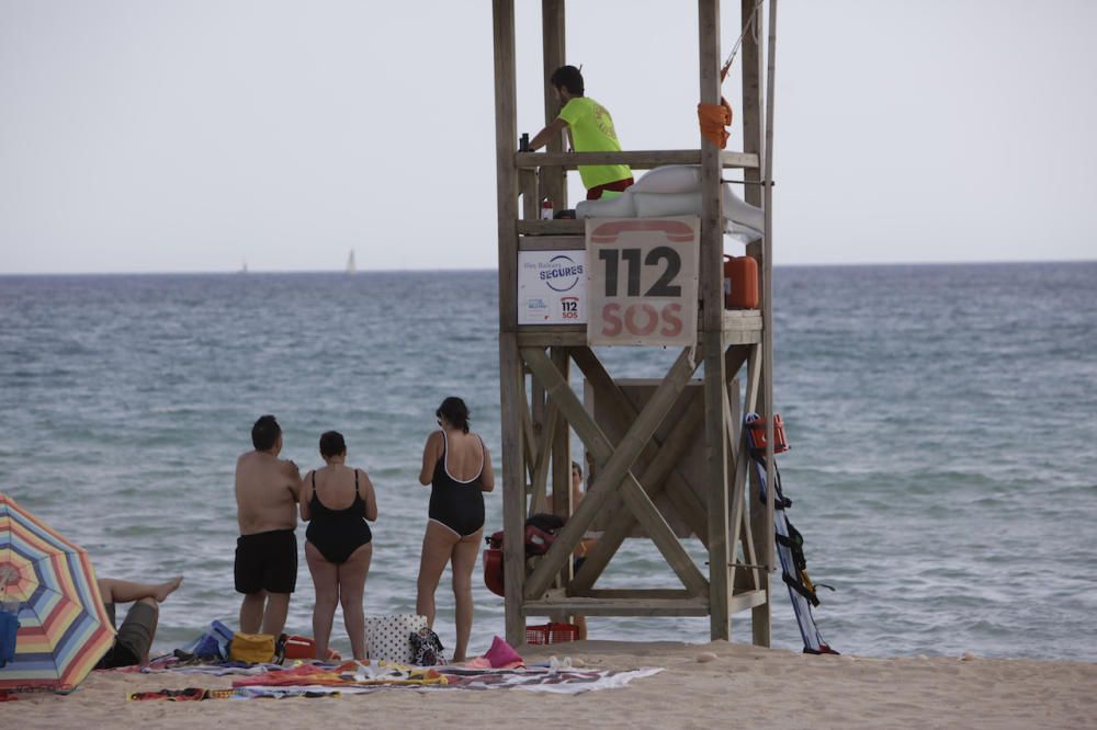 Precaución en el Arenal por la tintorera