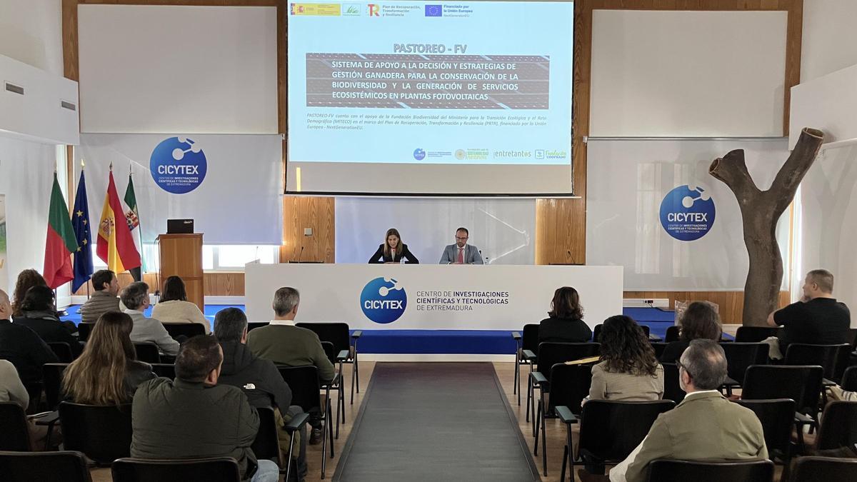 Una de las sesiones de trabajo del proyecto.