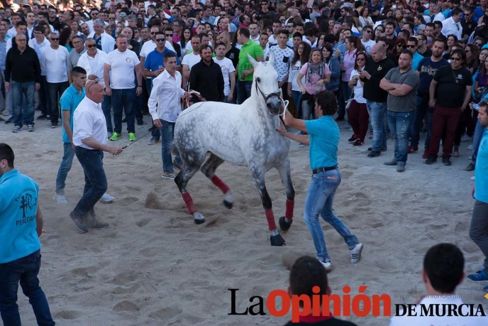 Día uno de mayo, entrada de caballos al Hoyo