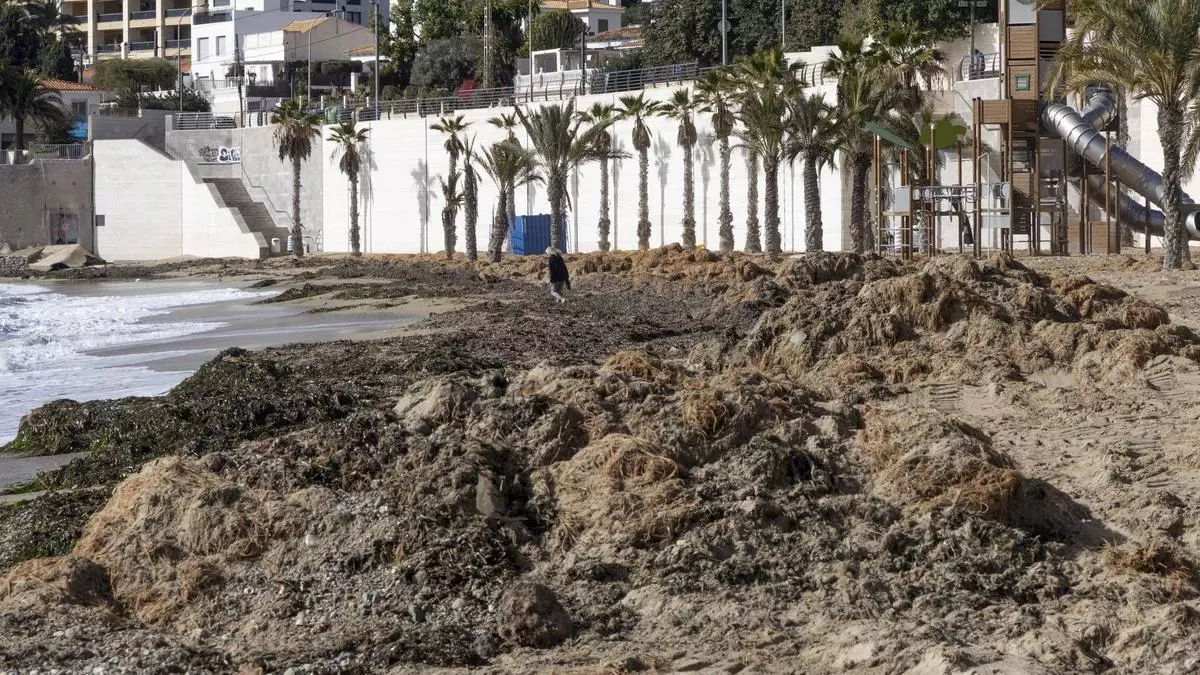 El viento deja playas irreconocibles en Alicante: barcos en la arena y agua en los paseos