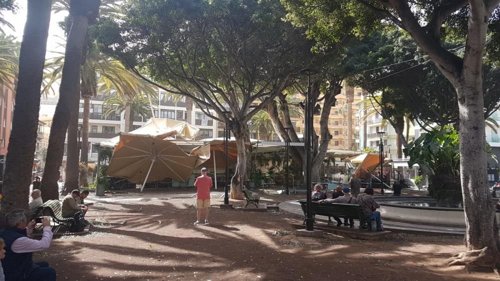 Las fuertes rachas de viento desde la noche del sábado han causado múltiples incidencias en todas las Islas, especialmente Tenerife y La Palma.