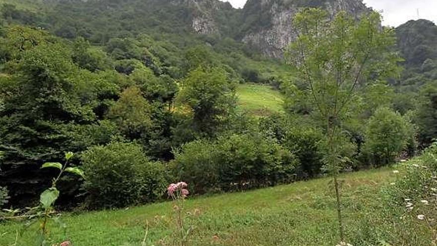 Los terrenos donde se construirá la depuradora de Las Mazas.