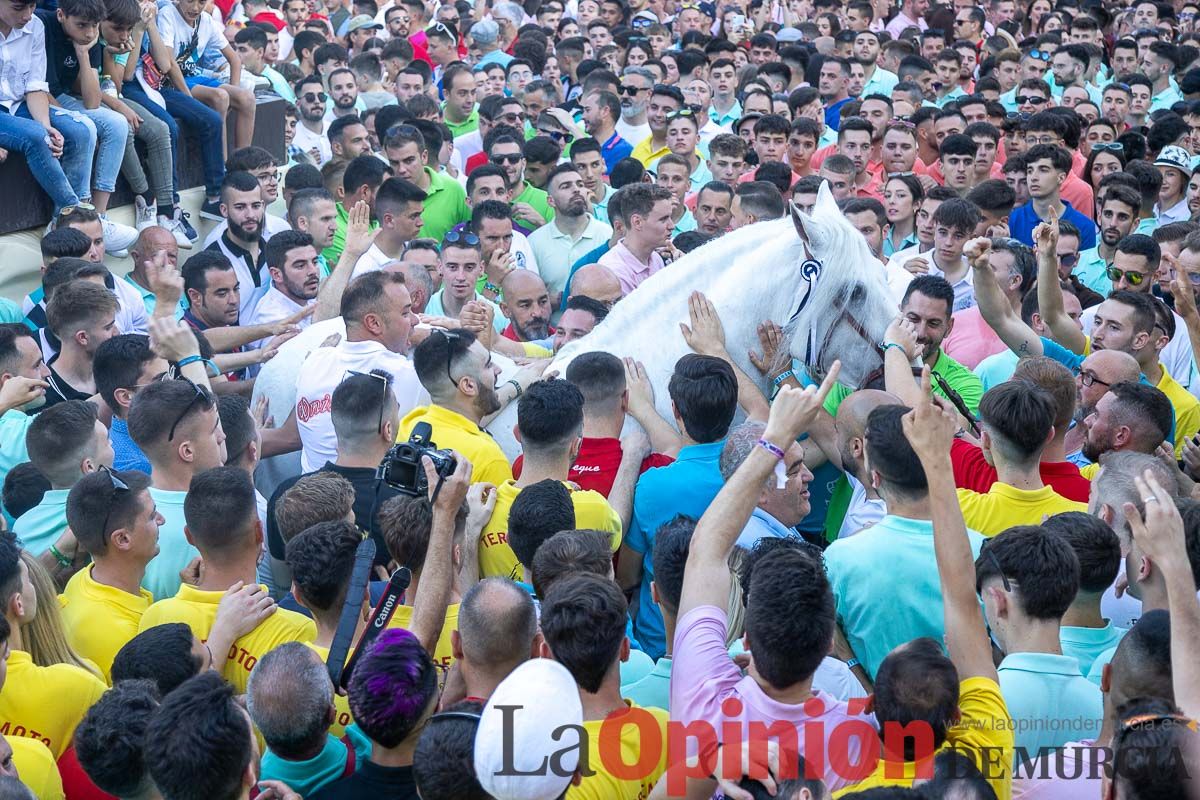 Entrega de premios del concurso morfológico de los Caballos del Vino de Caravaca