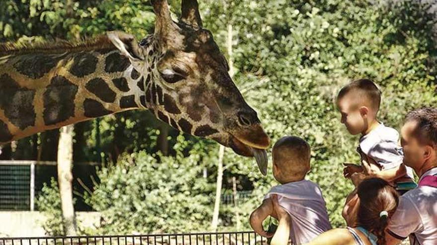 En Venezuela se come a los animales del zoo