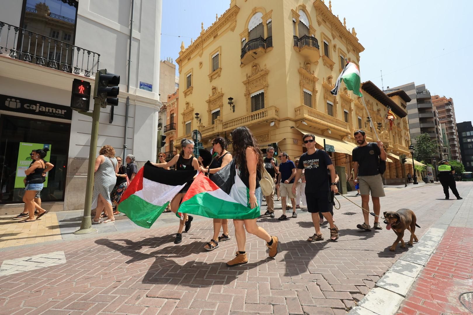 Manifestación a favor del pueblo palestino y la paz en Castellón