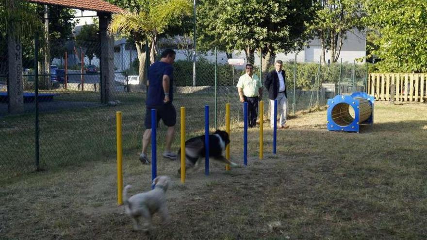 Unos perros juegan en el nuevo parque canino de Redondela, en la zona de A Marisma. // FdV