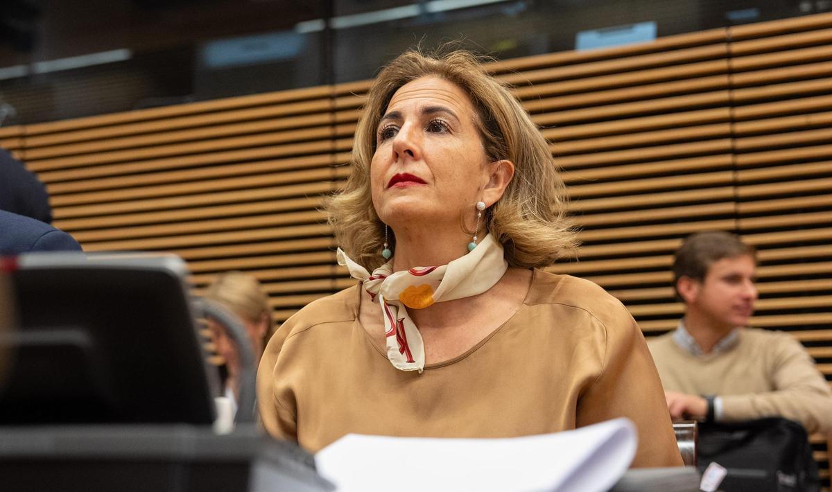 La diputada nacional del PP Isabel Borrego.