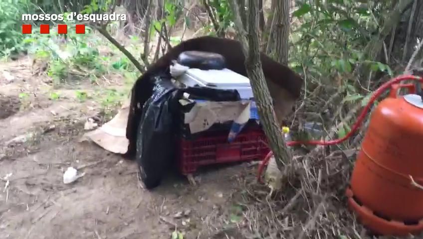 Plantació de Marihuana a Vilademuls