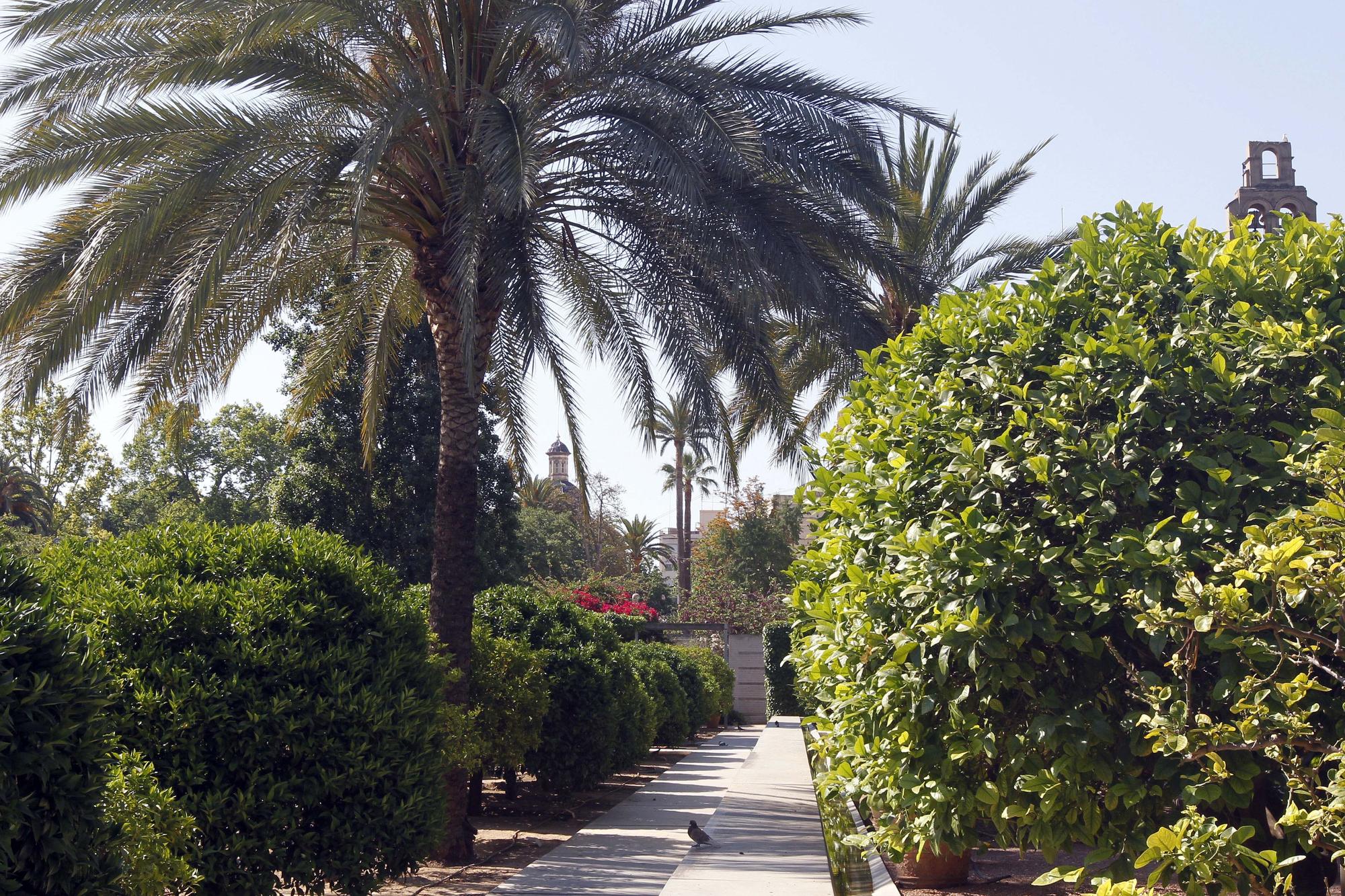 El Jardín de las Hespérides: un parque custodiado por las Ninfas