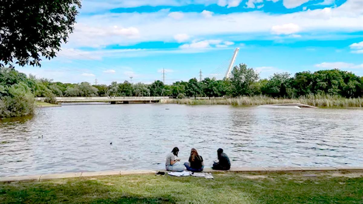 Parque del Alamillo.