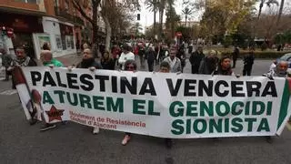 Alicante se vuelca con Palestina en una concentración multitudinaria