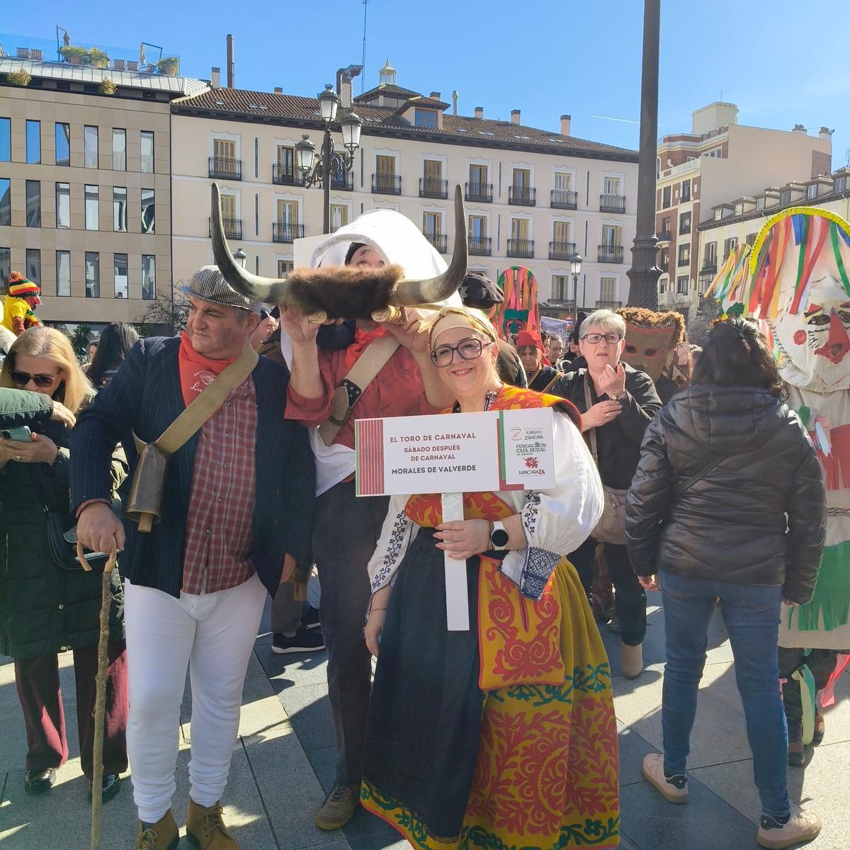 GALERÍA | El Toro de Carnaval de Morales de Valverde, en imágenes