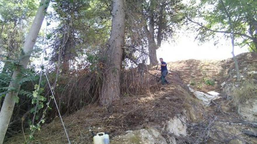 Tres contratos para limpiar ríos y solares en Alcoy