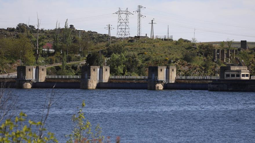 Centrales Hidroeléctricas: Ricobayo